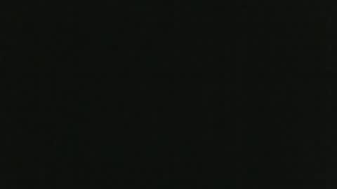 Snapshot of thenudedoodler chatting on 01.04.25 JohnSilver online show from 01.04.25