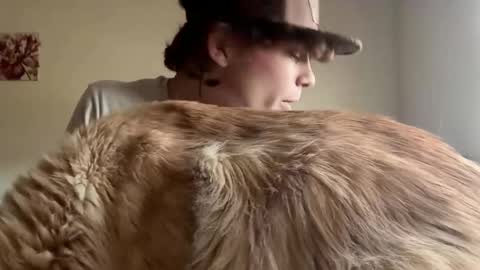 Astrid online show from 04.11.26