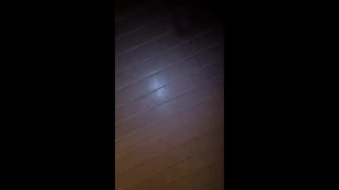 Snapshot of theonlyboi43ver chatting on 02.26.26 theonlyboi43ver online show from 02.26.26