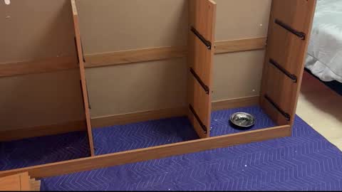 Snapshot of therealdylansdick chatting on 11.15.25 therealdylansdick online show from 11.15.25