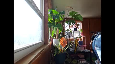 Snapshot of therizzler_1_of_1 chatting on 12.17.24 therizzler_1_of_1 online show from 12.17.24