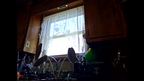 Snapshot of therizzler_1_of_1 chatting on 09.11.25 therizzler_1_of_1 online show from 09.11.25