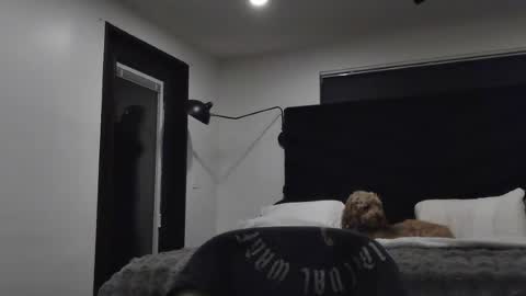 thiccbull12 online show from 06.29.26