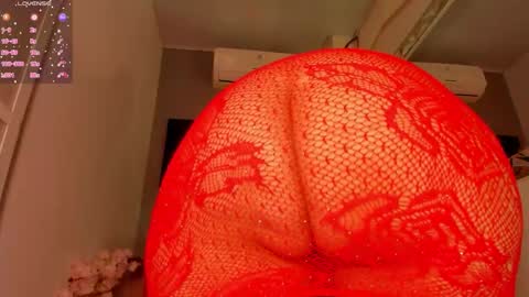 Lexxy online show from 11.11.25