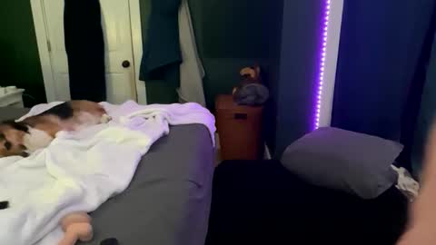 Thick D Bottom online show from 03.12.26