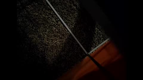 Snapshot of thicknordiccock chatting on 01.08.26 thicknordiccock online show from 01.08.26