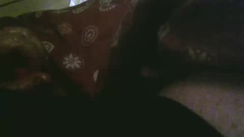 Snapshot of thisbloke96 chatting on 12.17.25 thisbloke96 online show from 12.17.25