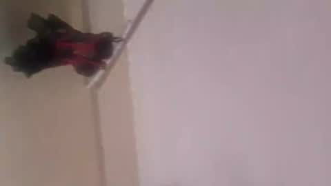 Snapshot of thomassr chatting on 11.05.25 Thonas online show from 11.05.25