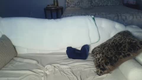 Snapshot of tiffanilove chatting on 02.08.25 Tiffani Love online show from 02.08.25