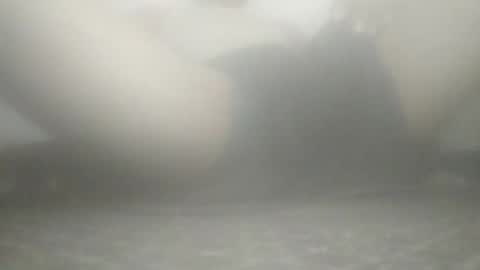 Snapshot of tiger005588 chatting on 11.21.25 tiger005588 online show from 11.21.25