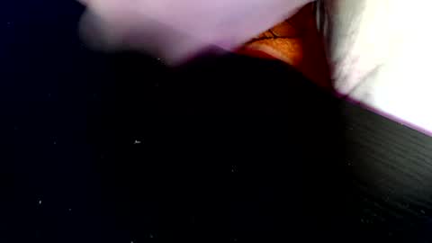 timer08230823 online show from 04.19.26