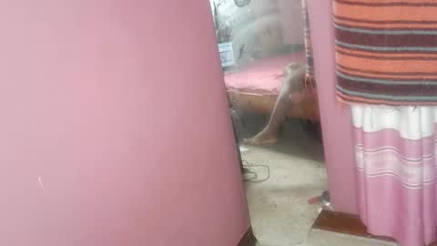 Snapshot of tin_love1 chatting on 02.18.26 tin_love1 online show from 02.18.26