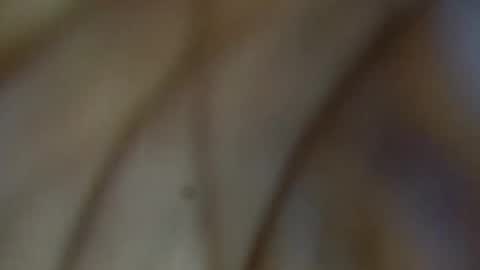 Snapshot of tinagiant chatting on 01.11.26 tinagiant online show from 01.11.26