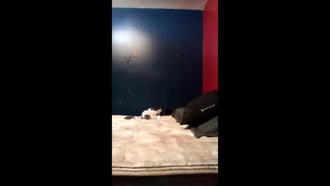 tinycock74478 online show from 03.19.26