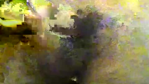 Snapshot of tirius_barkhan chatting on 11.30.25 Tirius Barkhan online show from 11.30.25