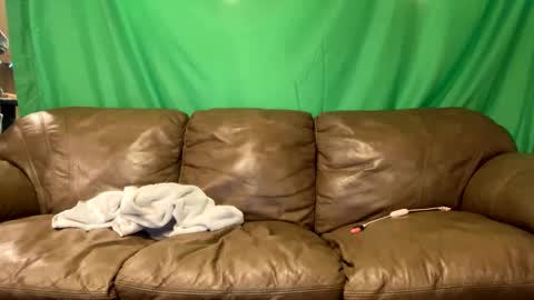 Snapshot of tjfemboi5641 chatting on 10.23.25 tjfemboi5641 online show from 10.23.25