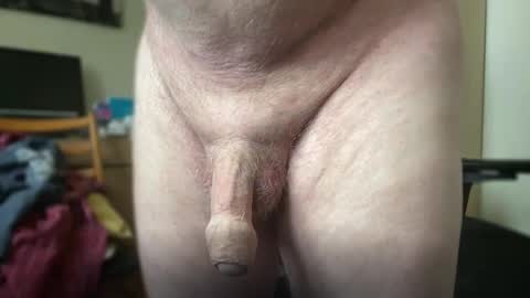 Togbear online show from 10.09.25