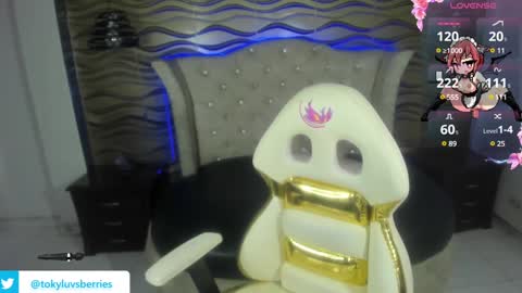 toky         online show from 12.07.24