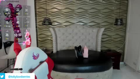 toky         online show from 01.09.25