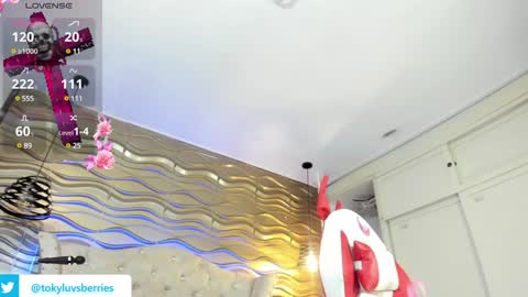 toky         online show from 01.11.25