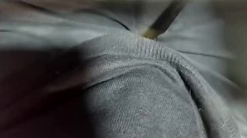 Snapshot of tomas_cum69 chatting on 02.12.25 Tomas online show from 02.12.25