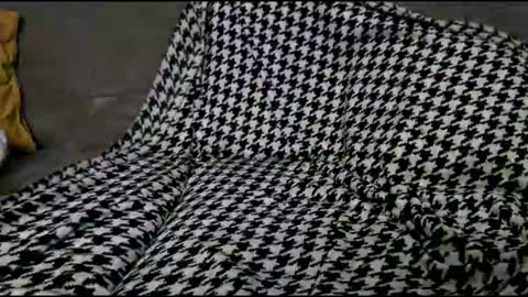 Snapshot of tomekjestmoc chatting on 09.24.25 Bima online show from 09.24.25