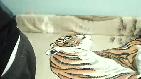 Snapshot of tomekpl30show chatting on 12.31.24 Tomek online show from 12.31.24