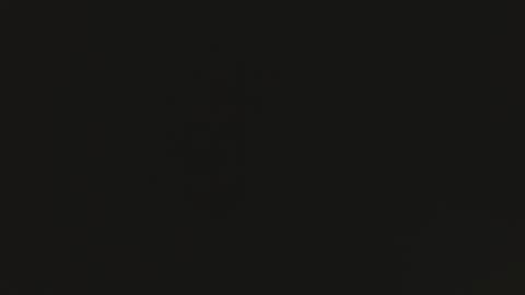 tomylela online show from 12.01.25