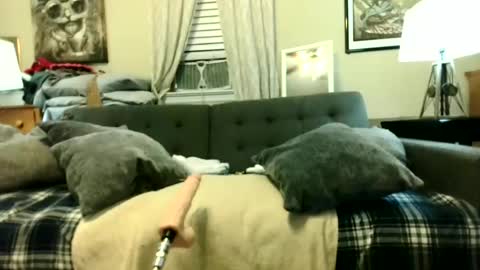 Tony Luv    Fuck Machine  online show from 06.18.26