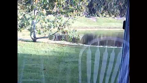 tonymcfly99 online show from 02.21.25