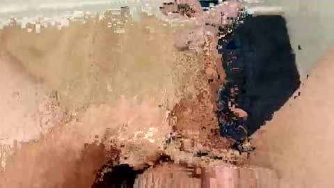 ARKANSAS THICK WOOD online show from 03.04.26