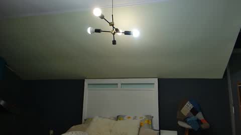 Snapshot of toplegs chatting on 02.23.26 Anda online show from 02.23.26