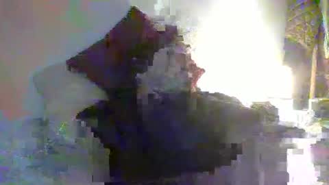 Snapshot of toyboyhumilation chatting on 11.07.25 toyboyhumilation online show from 11.07.25