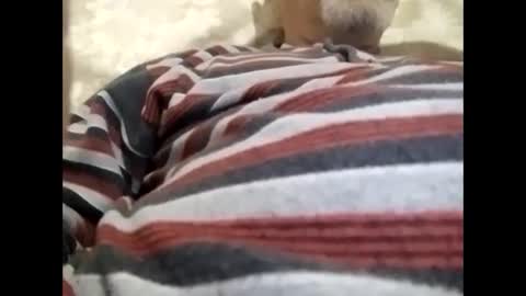 tra649167 online show from 02.09.25