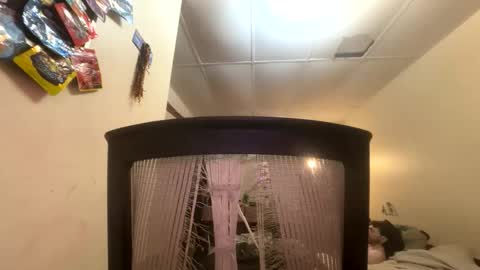 Snapshot of tracy227 chatting on 11.09.25 tracy227 online show from 11.09.25