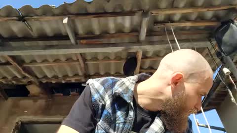 Tralalabala online show from 03.03.26