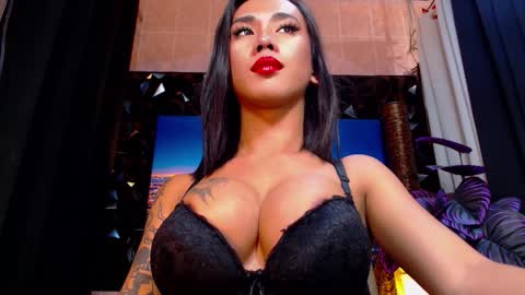 transpornidol online show from 12.04.25