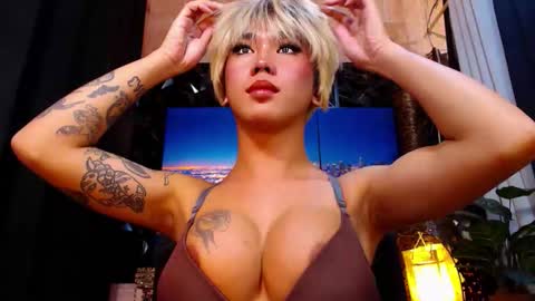 transpornidol online show from 12.18.25