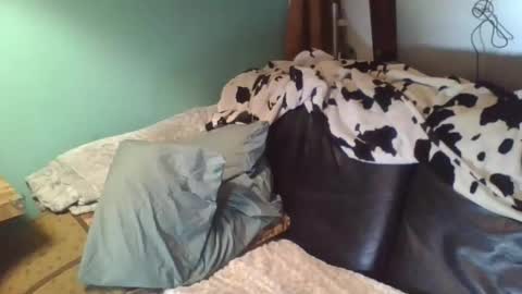 trashdiamond online show from 04.03.26