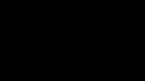 Snapshot of treimann chatting on 12.12.24 Thorcci online show from 12.12.24