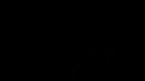 Snapshot of treimann chatting on 01.21.25 Thorcci online show from 01.21.25