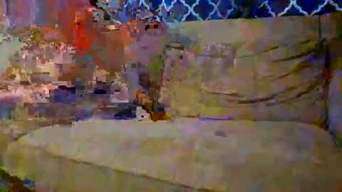 trex23rd online show from 12.02.25