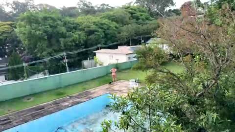 Snapshot of trigood chatting on 11.28.25 trigood online show from 11.28.25