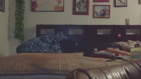 Snapshot of trinasvede chatting on 03.09.25 Trina Tushy Deluxe online show from 03.09.25