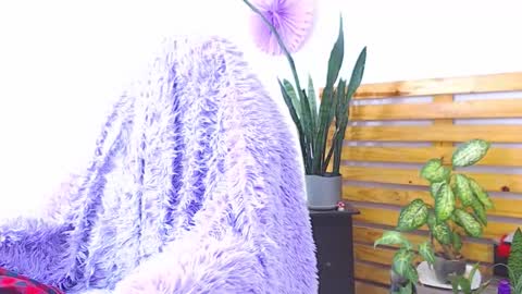 Snapshot of trix_fiore_oficial chatting on 02.01.26 Trix online show from 02.01.26