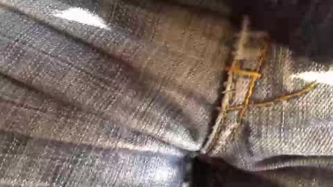 trobelle online show from 11.18.25