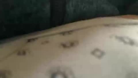 trobelle online show from 11.25.25