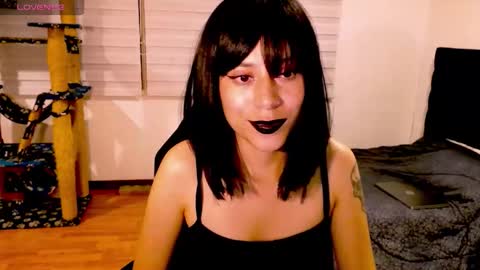 Snapshot of tryp666 chatting on 11.29.25 Cait online show from 11.29.25