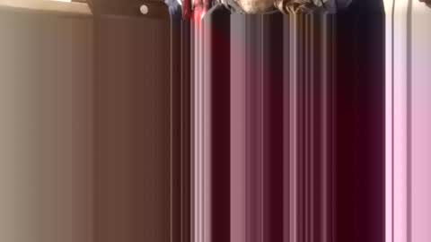 Snapshot of trypodman chatting on 12.11.24 trypodman online show from 12.11.24