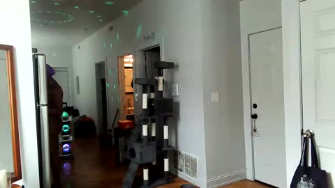 Amber White online show from 02.02.25